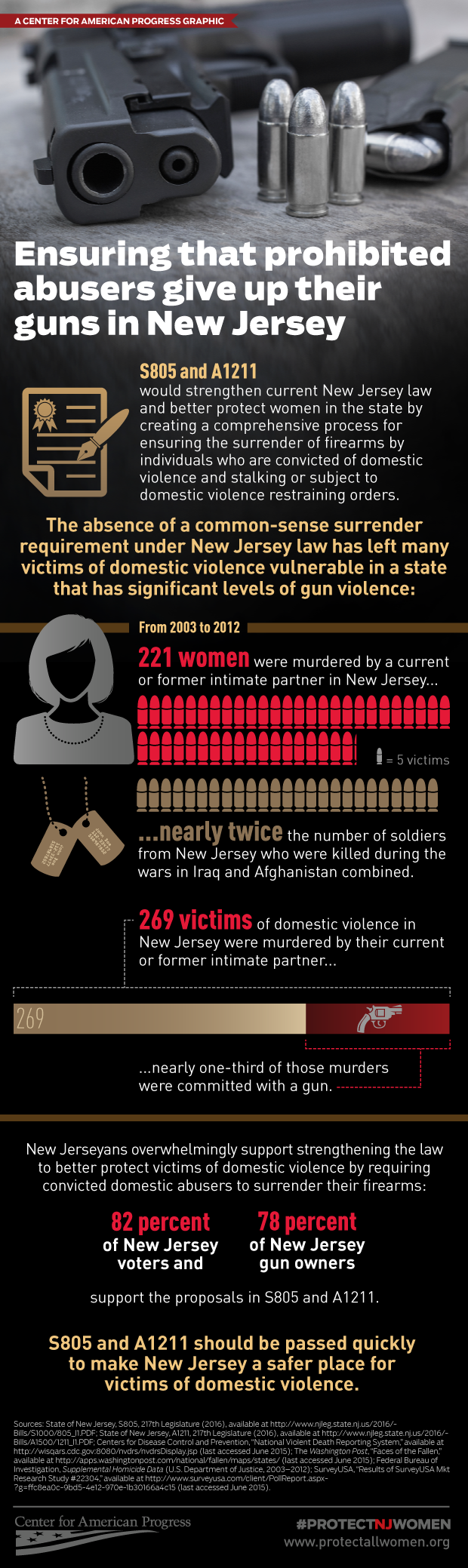 DomesticAbuseGunViolenceBillInfographic